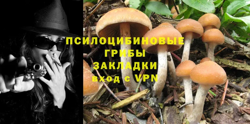 Псилоцибиновые грибы Magic Shrooms  Ершов 